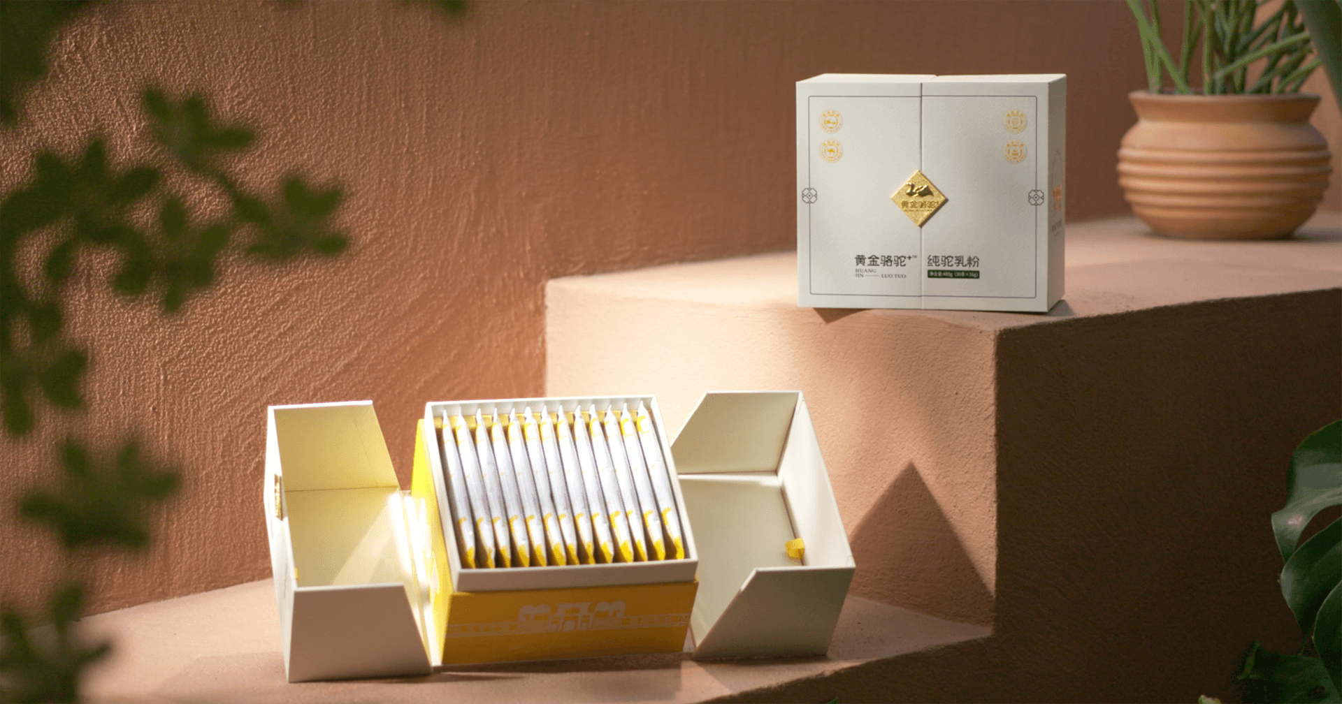 定位小众高端乳粉，AG真人官方推出驼奶品牌“黄金骆驼+”，角逐乳品新市。
